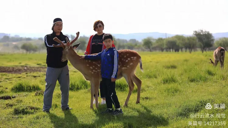 乌兰布统皇家鹿苑